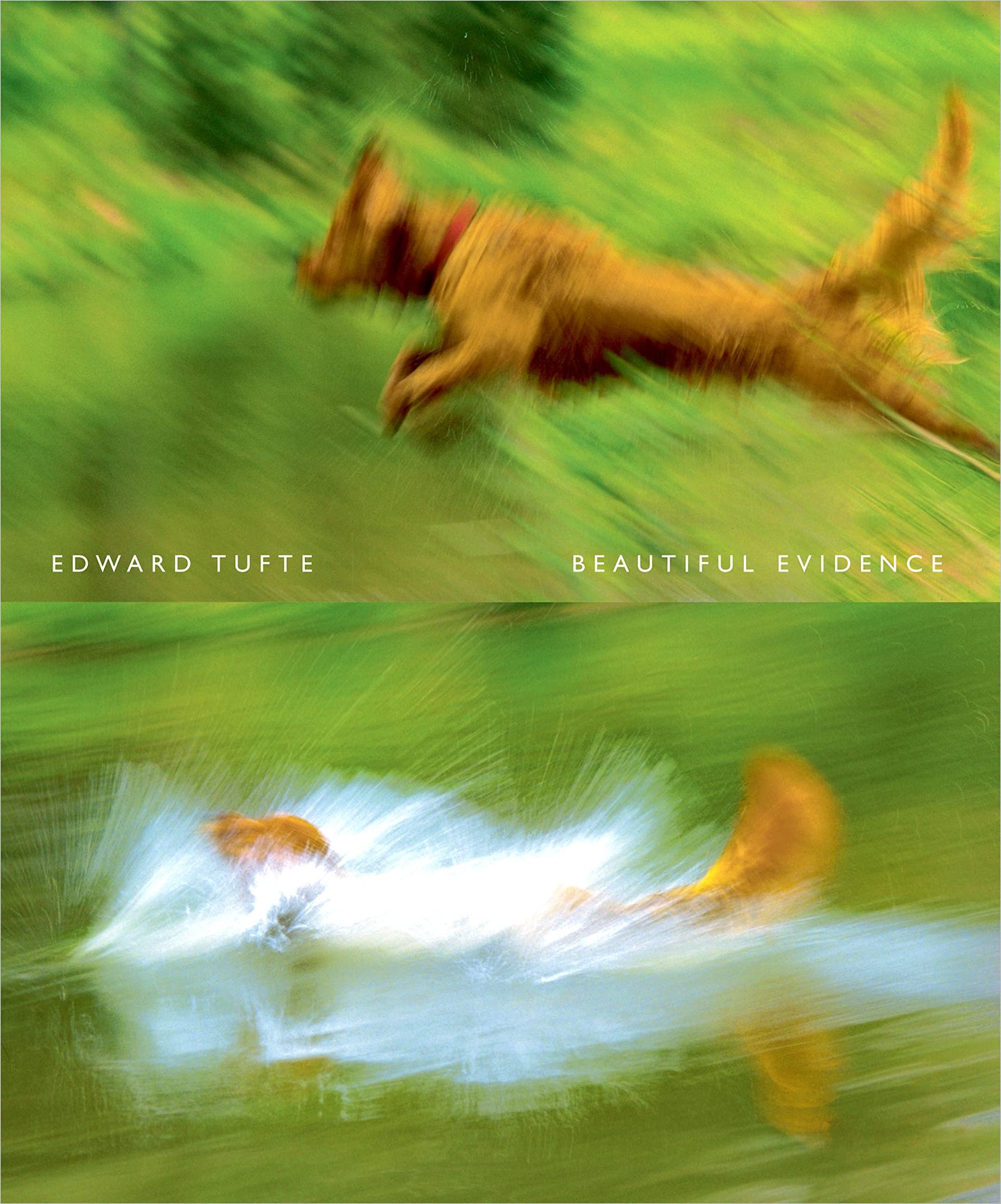 Beautiful Evidence by Edward R. Tufte
