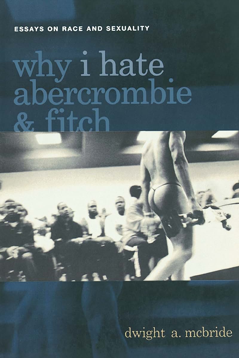 Why I Hate Abercrombie & Fitch: Essays On Race and Sexuality (Sexual Cultures, 41)