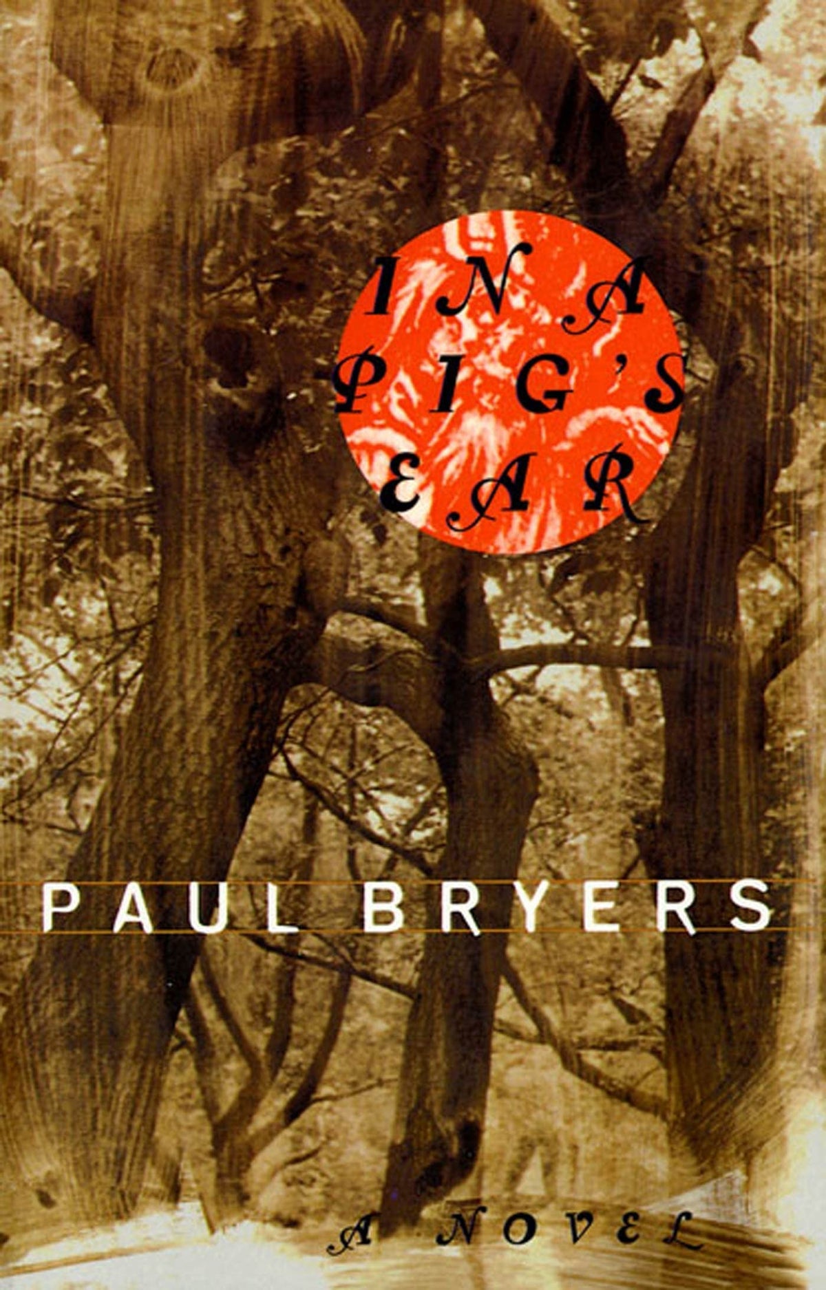 In a Pig's Ear: A Novel