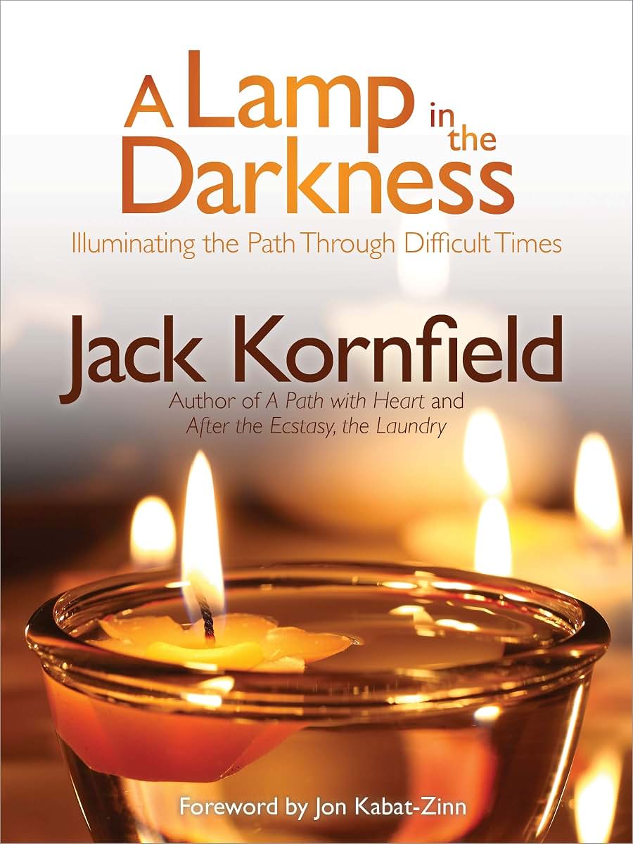 A Lamp in the Darkness: Illuminating the Path Through Difficult Times