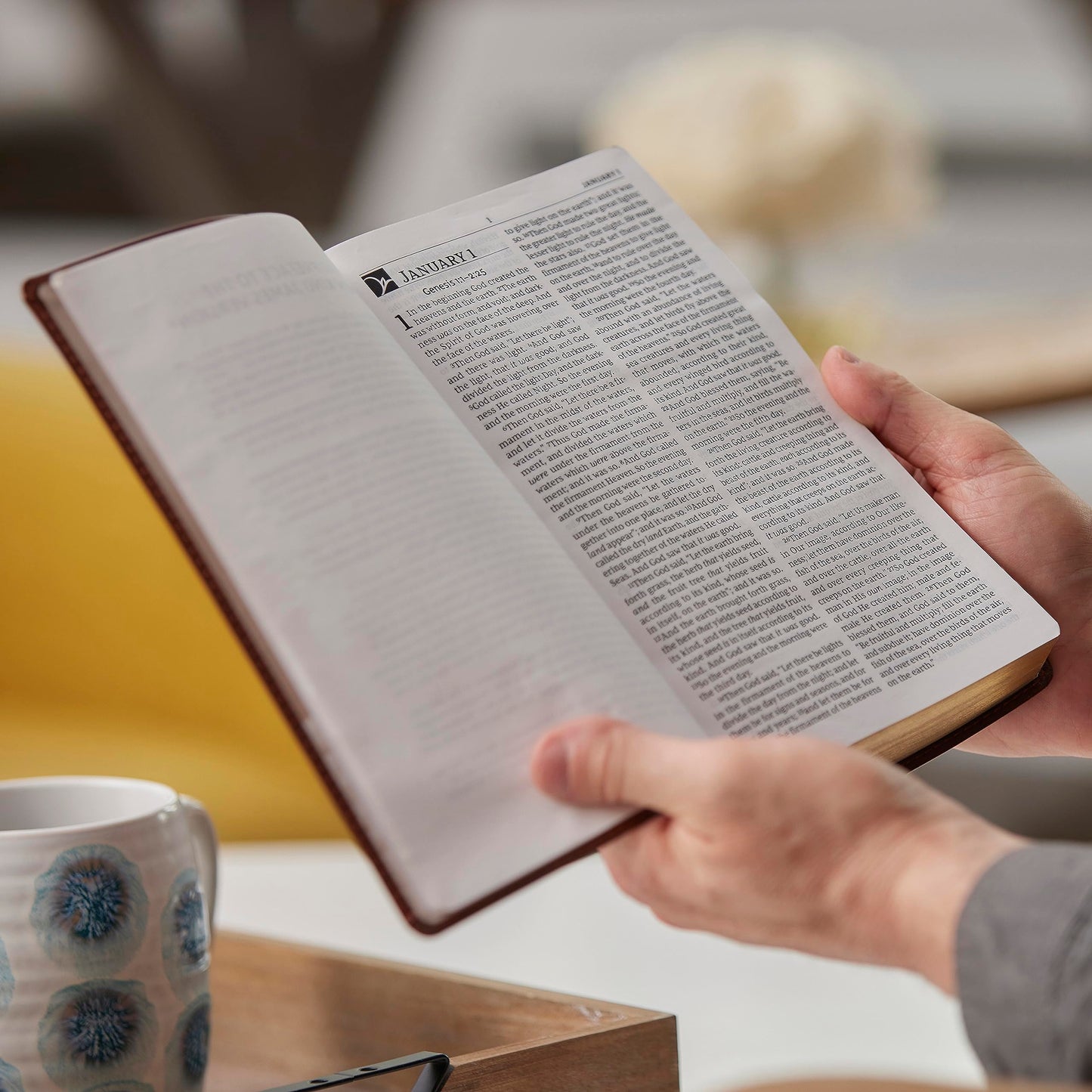 NKJV, The Everyday Bible, Brown Leathersoft, Red Letter, Comfort Print: 365 Daily Readings Through the Whole Bible