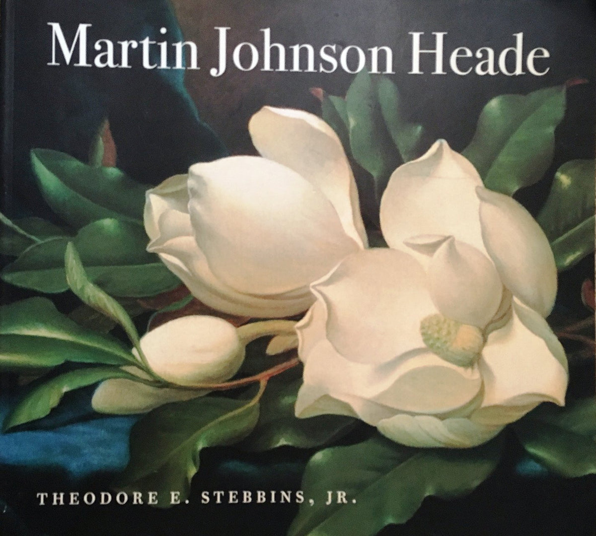 Martin Johnson Heade