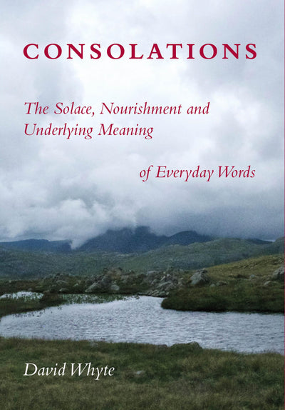 Consolations: The Solace, Nourishment and Underlying Meaning of Everyday Words