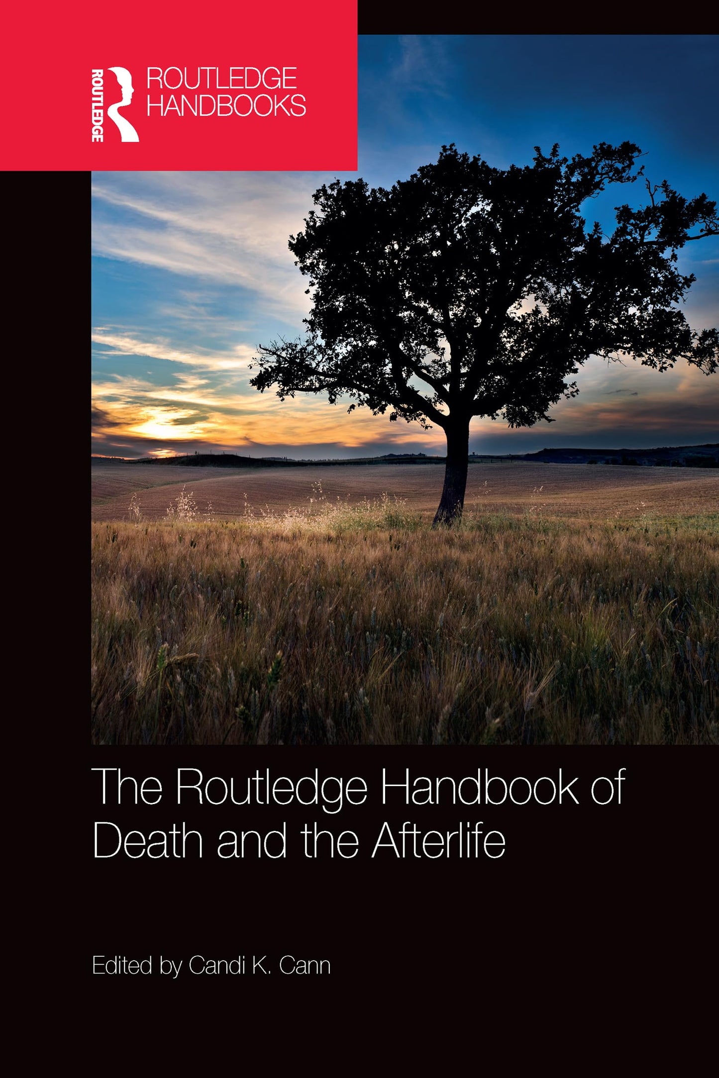 The Routledge Handbook of Death and the Afterlife (Routledge Handbooks in Religion)