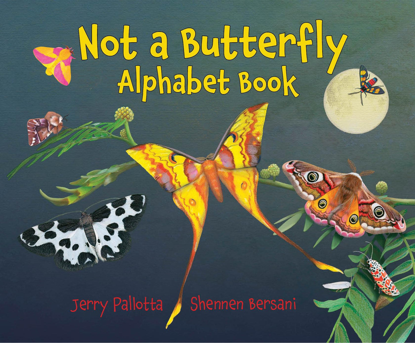 Not a Butterfly Alphabet Book: It's About Time Moths Had Their Own Book!