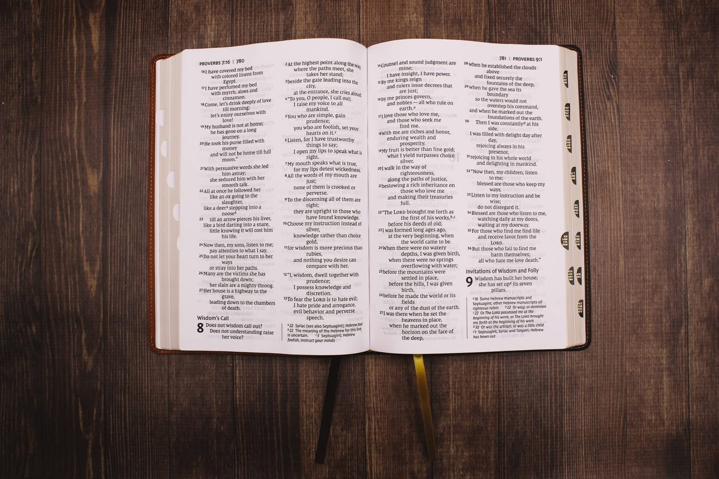NIV, Thinline Bible, Giant Print, Leathersoft, Brown, Red Letter, Thumb Indexed, Comfort Print