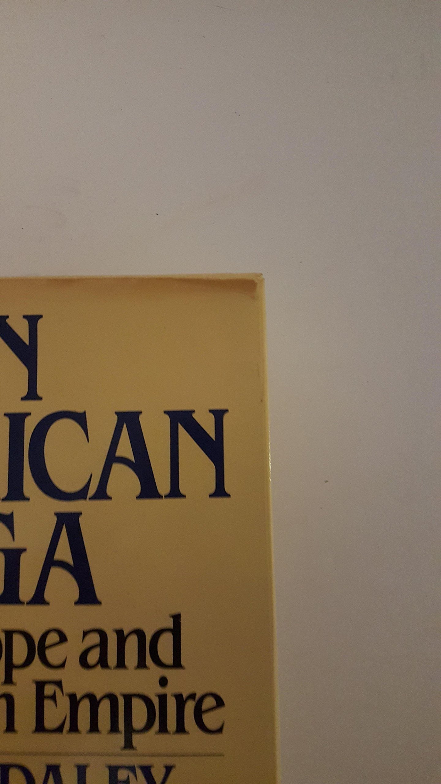 An American saga: Juan Trippe and his Pan Am empire by Daley