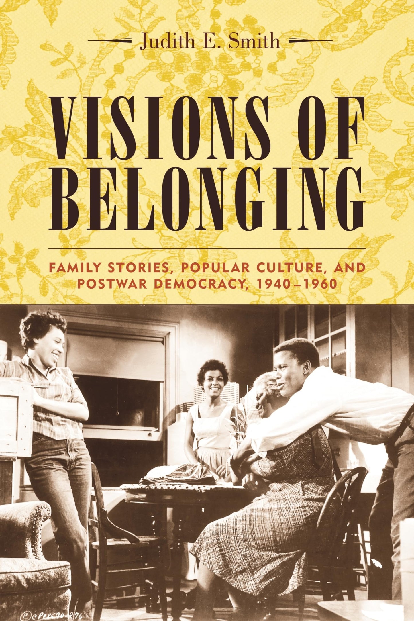 Visions of Belonging: Family Stories, Popular Culture, and Postwar Democracy, 1940-1960 (Popular Cultures, Everyday Lives)