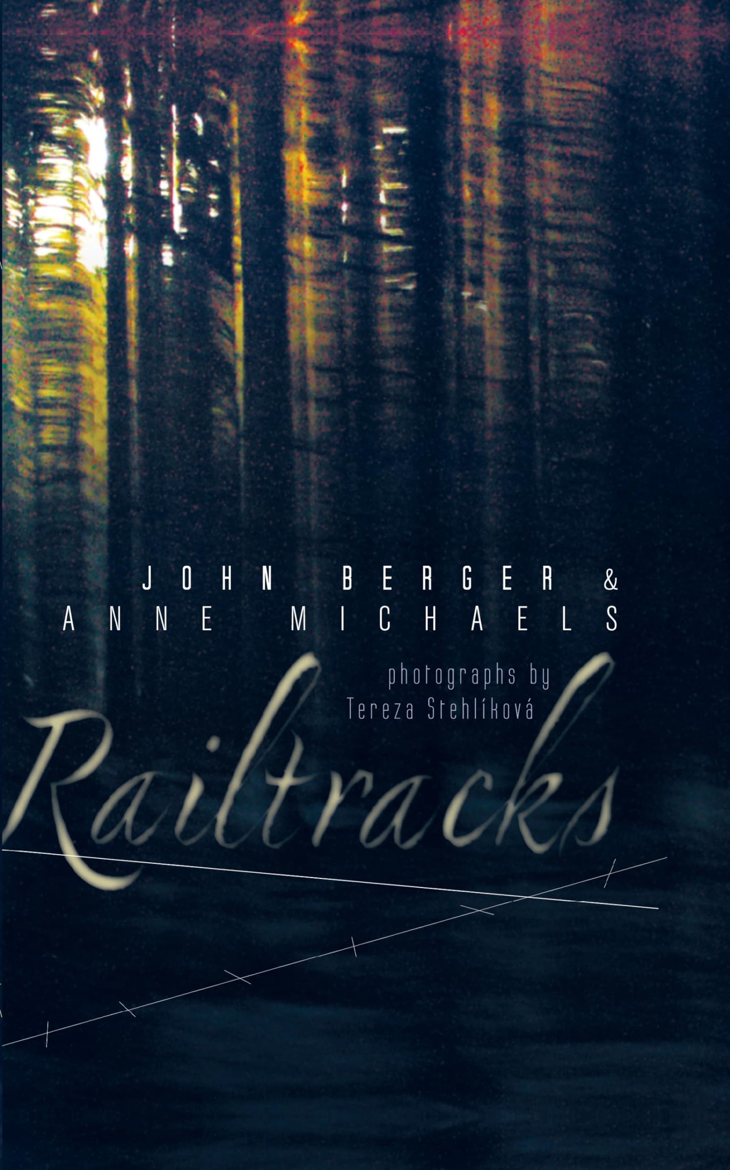 Railtracks by Anne Michaels (New)