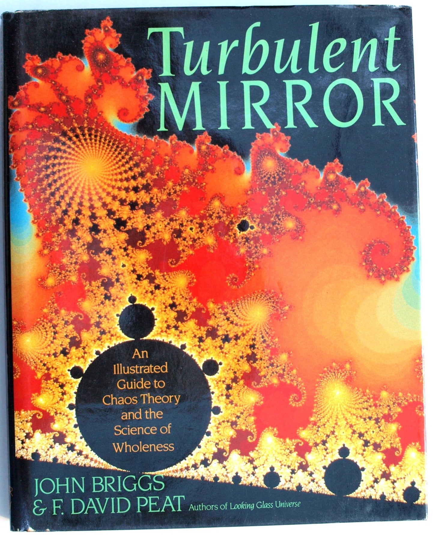 Turbulent Mirror: An Illustrated Guide to Chaos Theory (Hardcover)