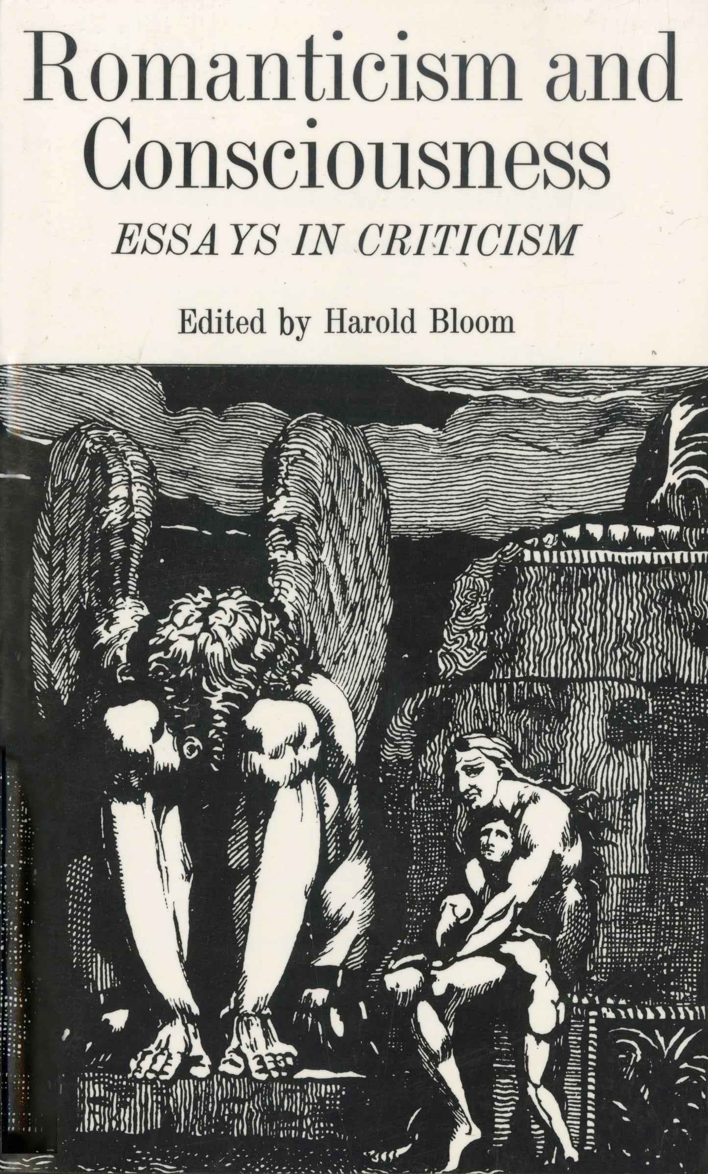 Romanticism and Consciousness by Harold Bloom