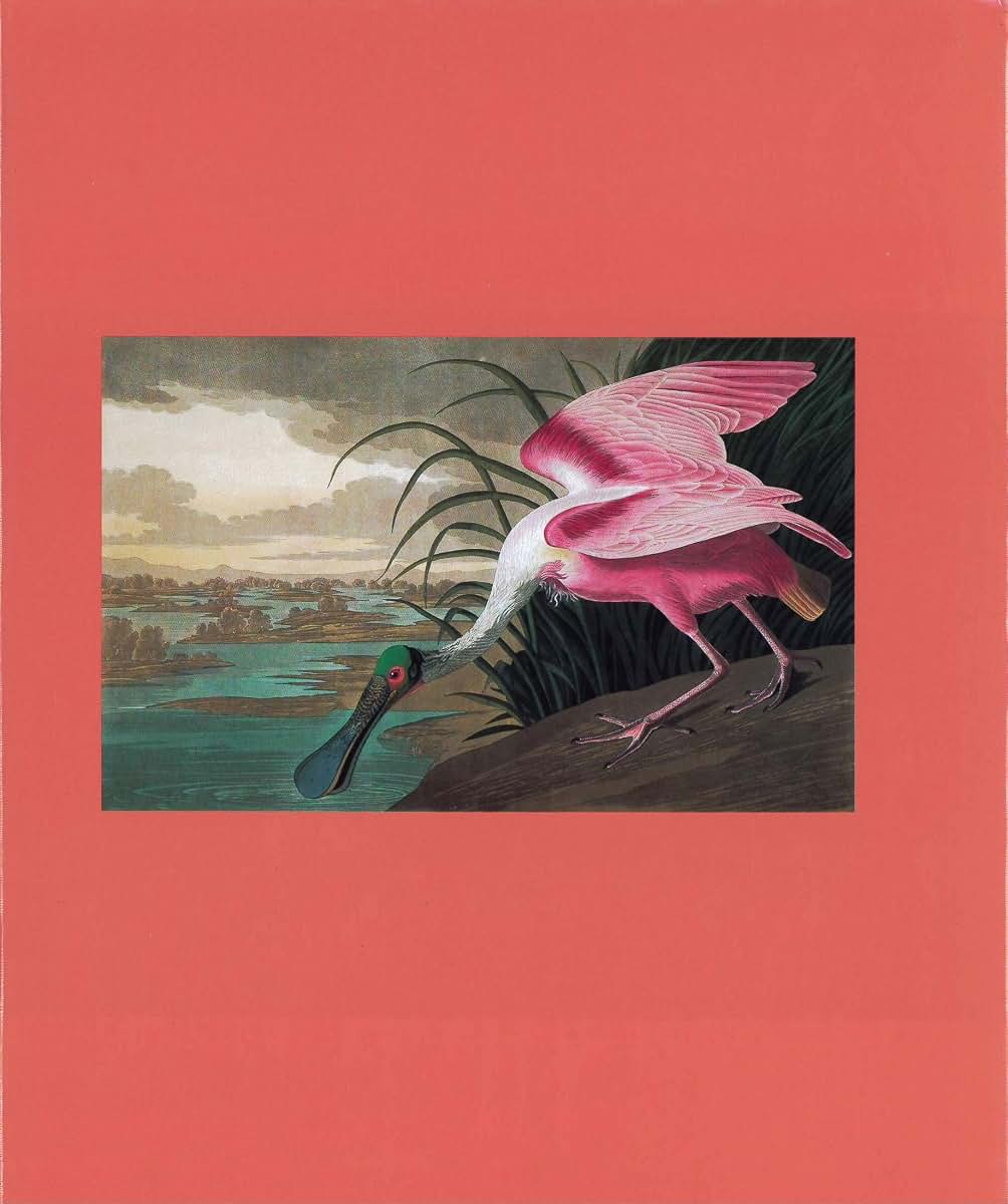 Fine Bird Books, 1700-1900