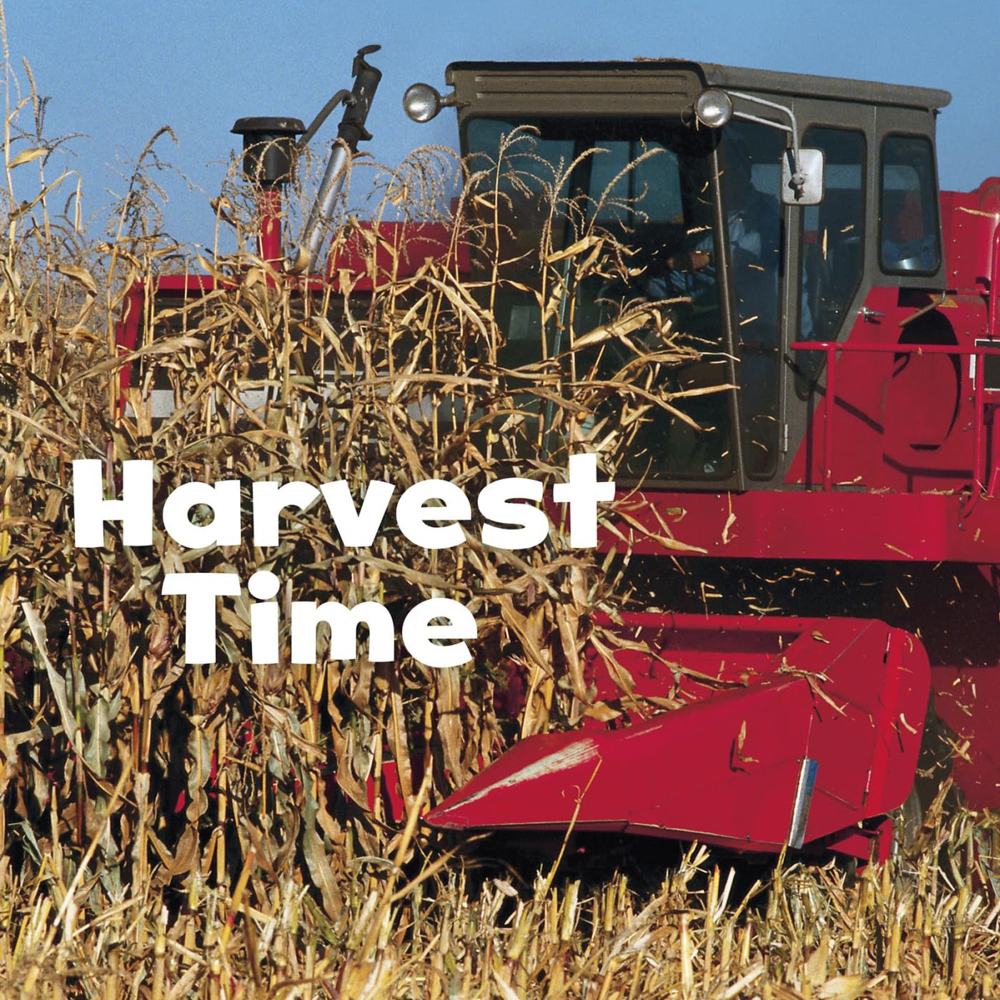 Harvest Time (Little Pebble: Celebrate Fall)
