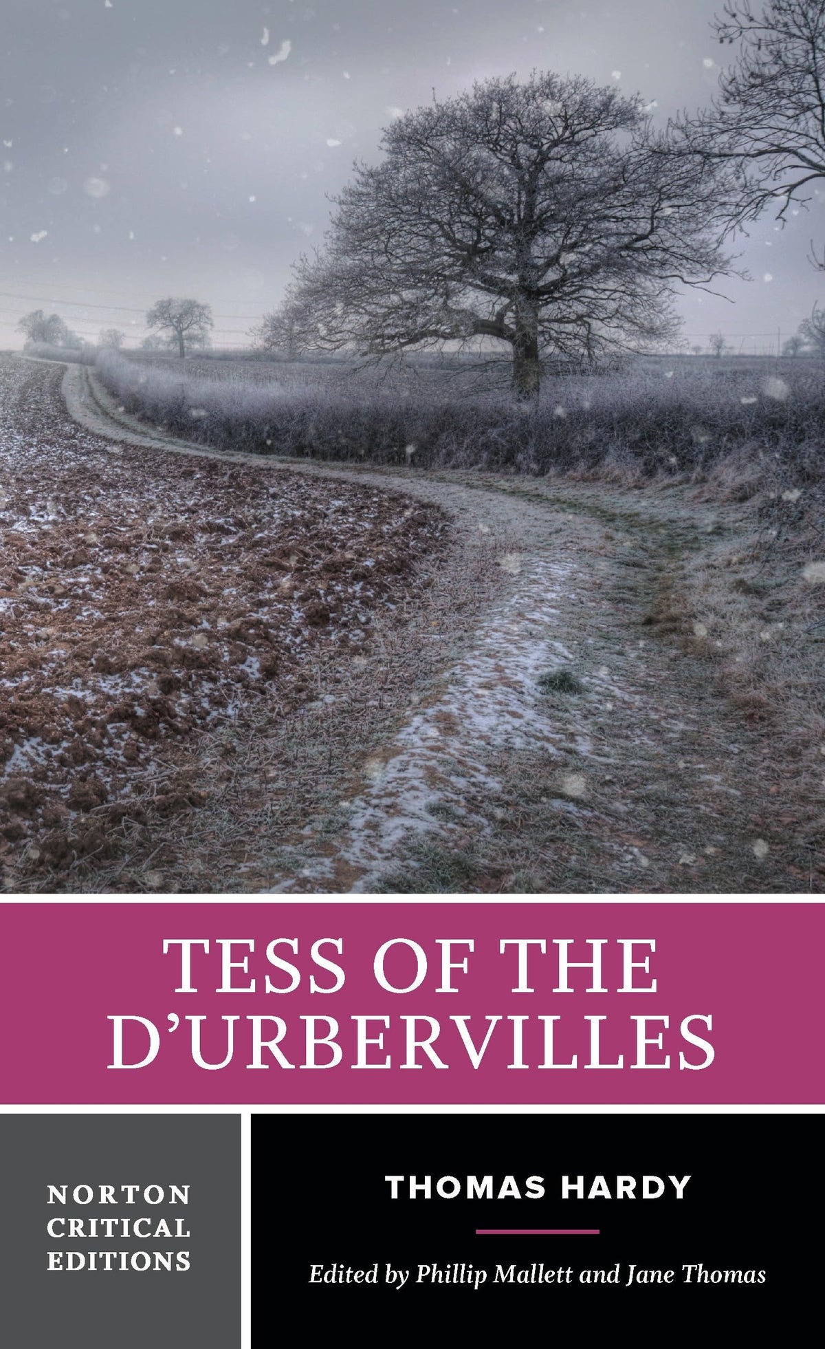 Tess of the Durbervilles (Norton Critical Editions)