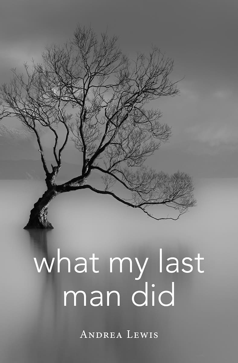 What My Last Man Did (Blue Light Books)