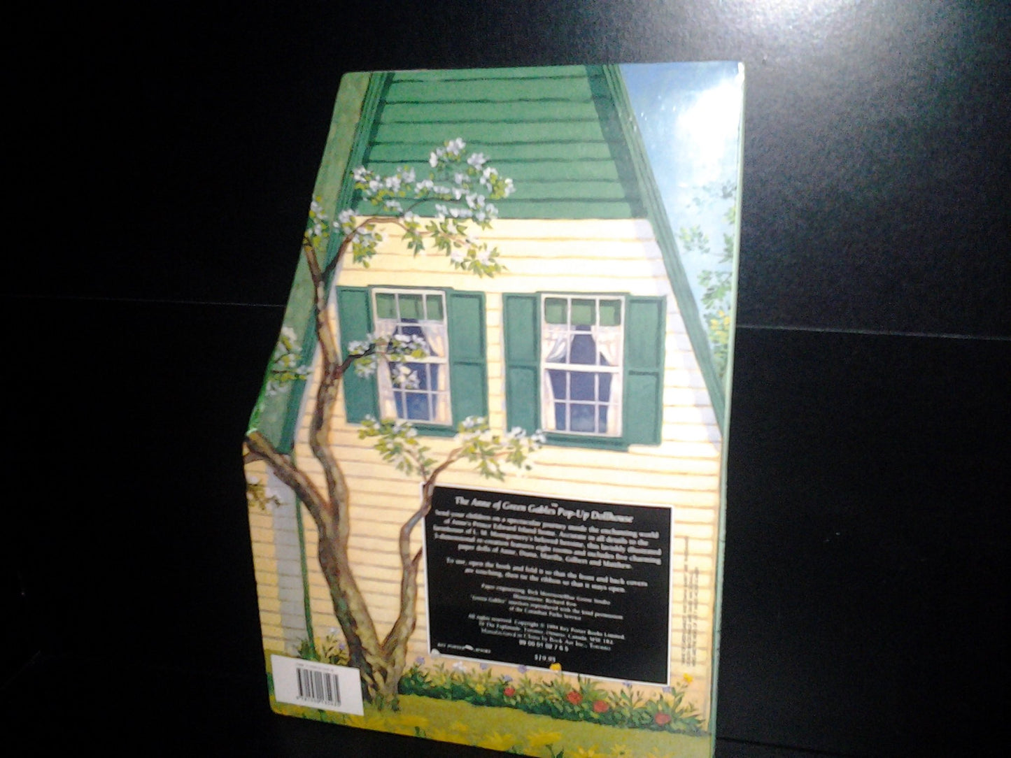 Anne of Green Gables: Pop-Up Dolls House by Morrison, Rick