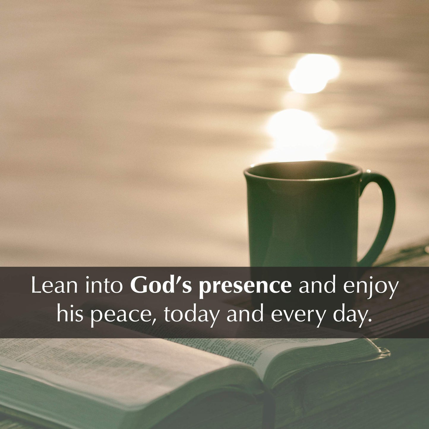 I Hear His Whisper: Encounter God's Heart for You, 365 Daily Devotions (The Passion Translation) (Imitation Leather) - Daily Messages of God's Love, ... More. (The Passion Translation Devotionals)