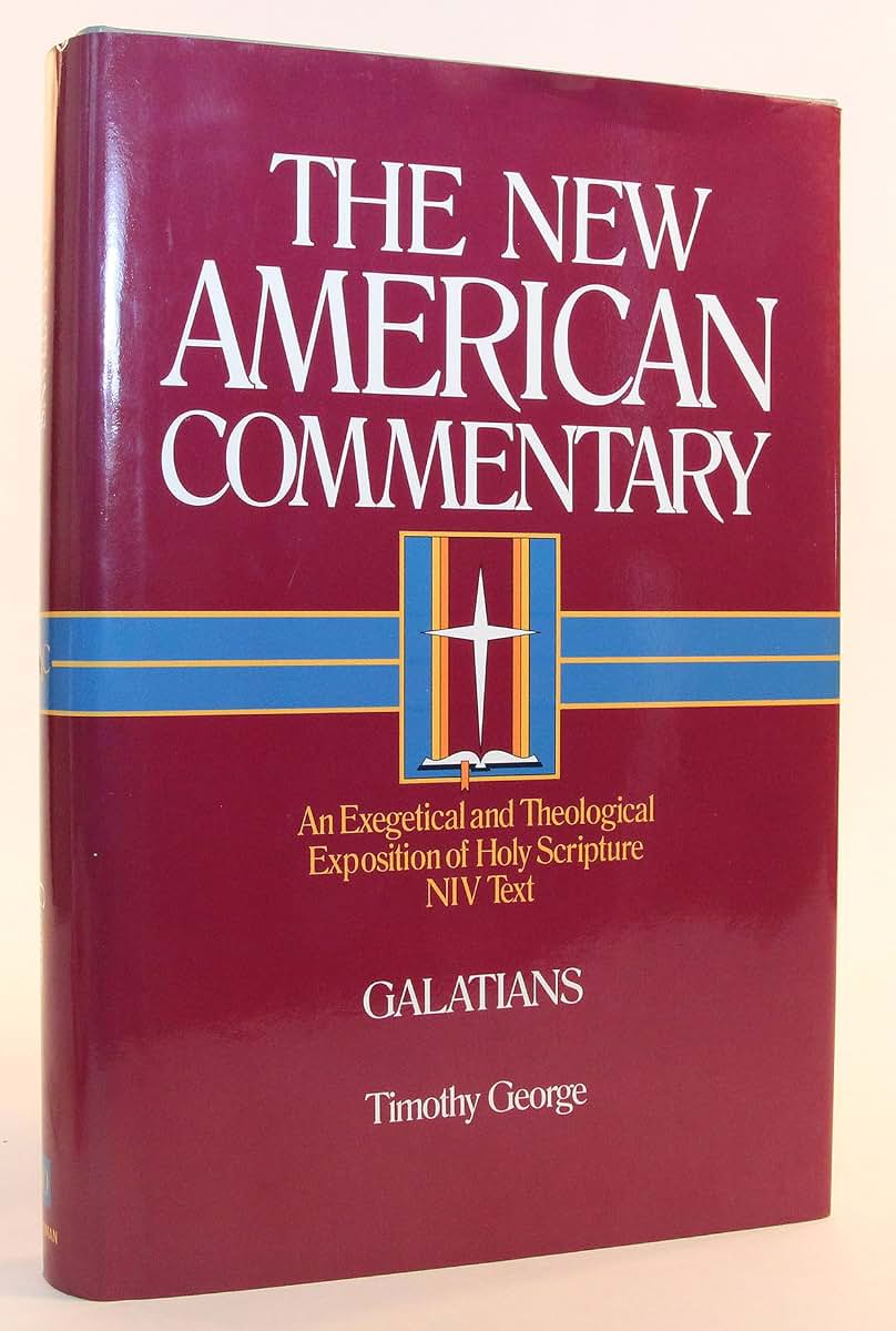 Galatians: An Exegetical and Theological Exposition of Holy Scripture (Volume 30) (The New American Commentary)