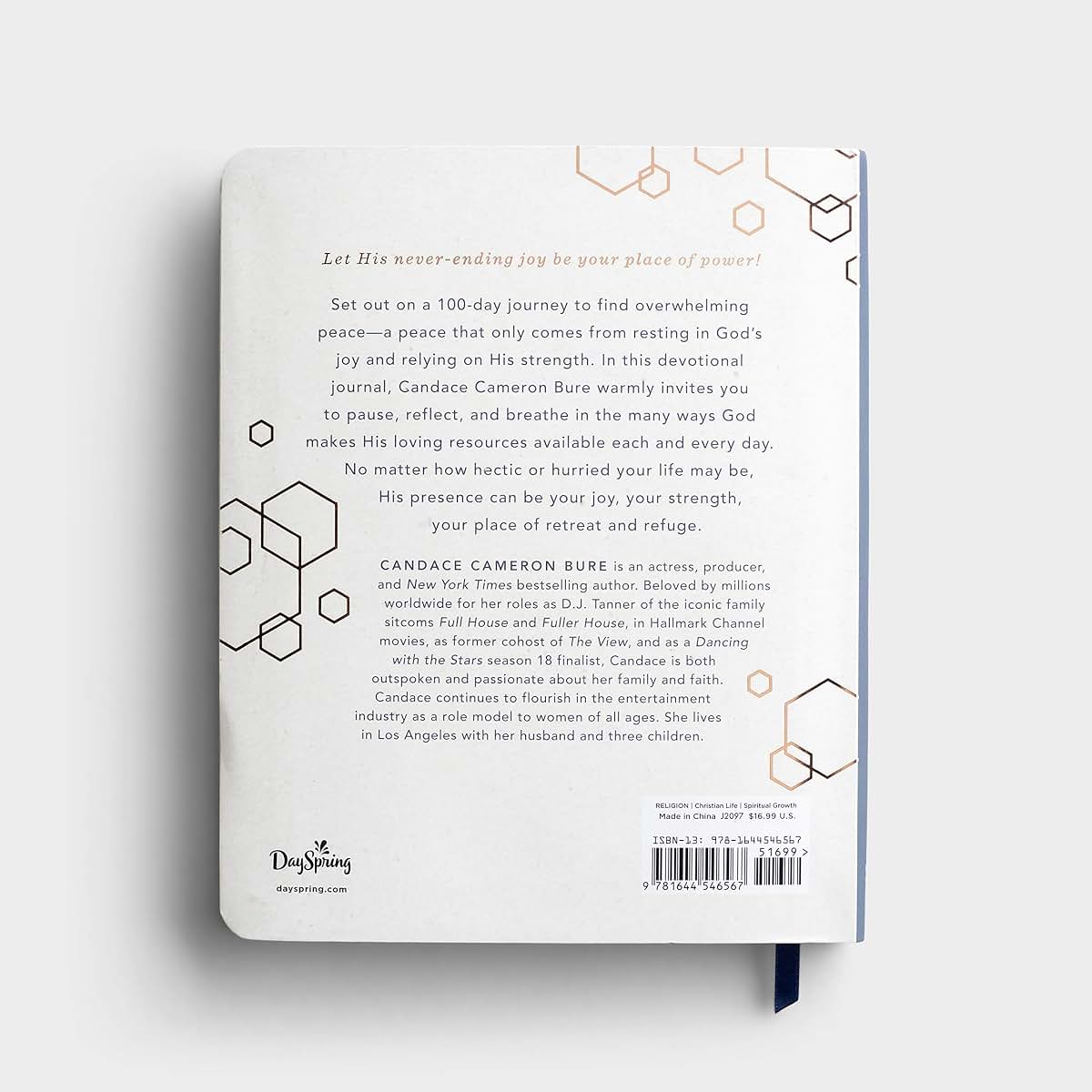 100 Days of Joy and Strength: A Devotional Journal by Candac