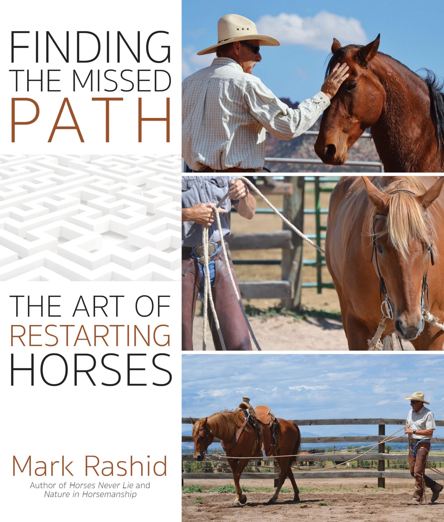 Finding the Missed Path: The Art of Restarting Horses by Ras