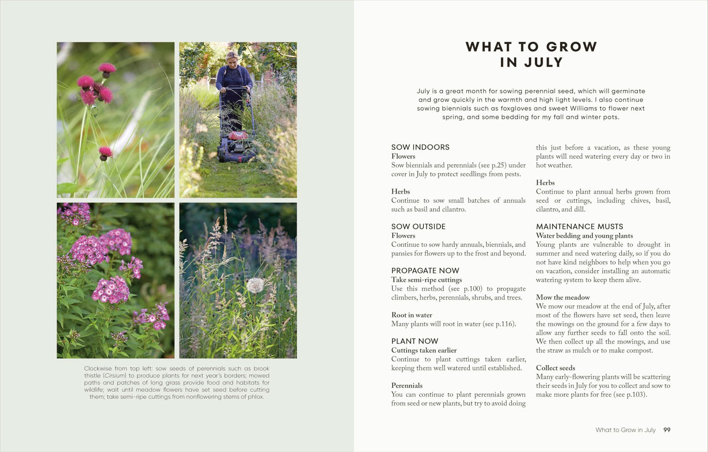 The Money-Saving Garden Year: A Month-by-month Guide to a Great Garden that Costs Less