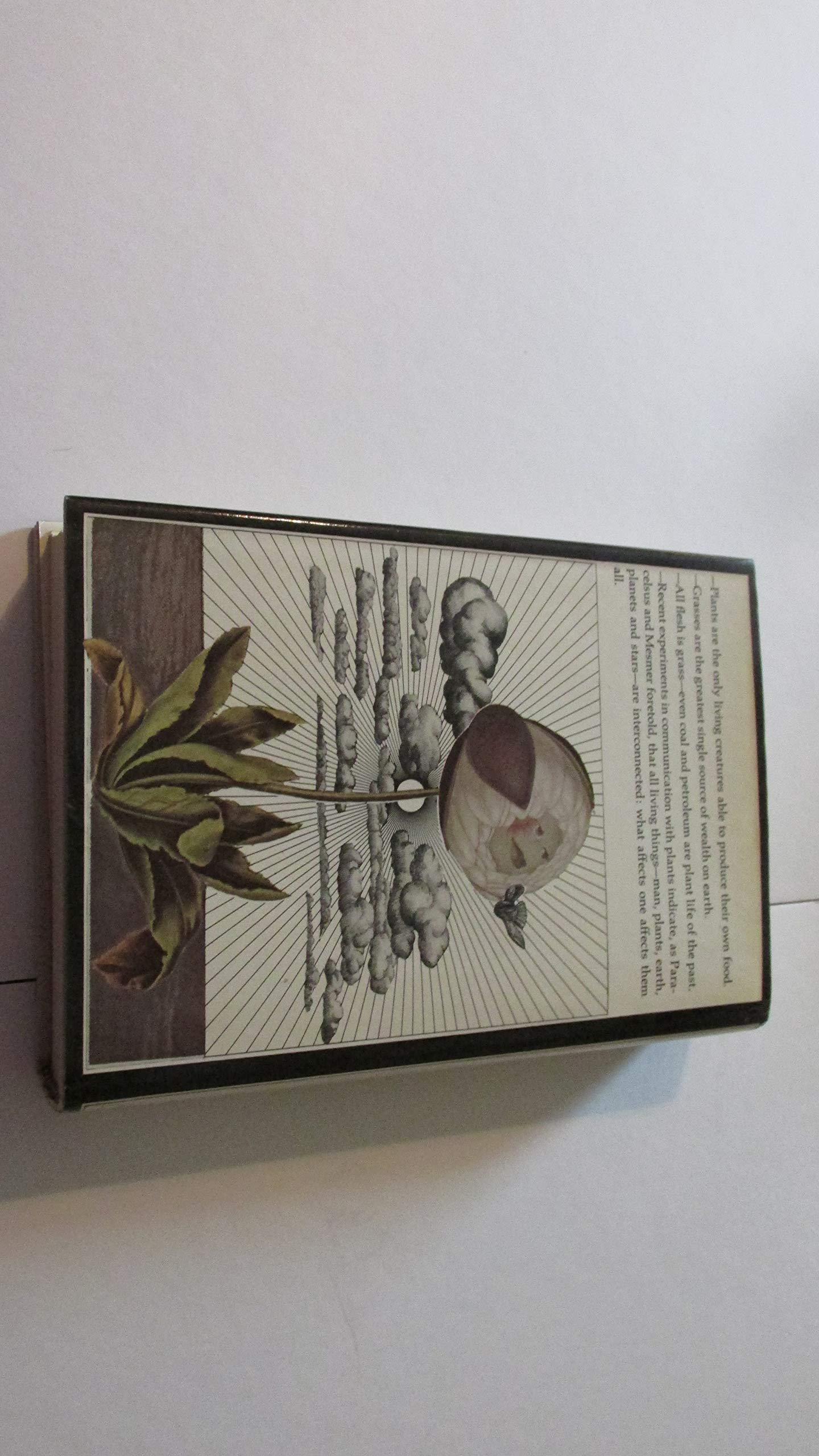 The Secret Life of Plants