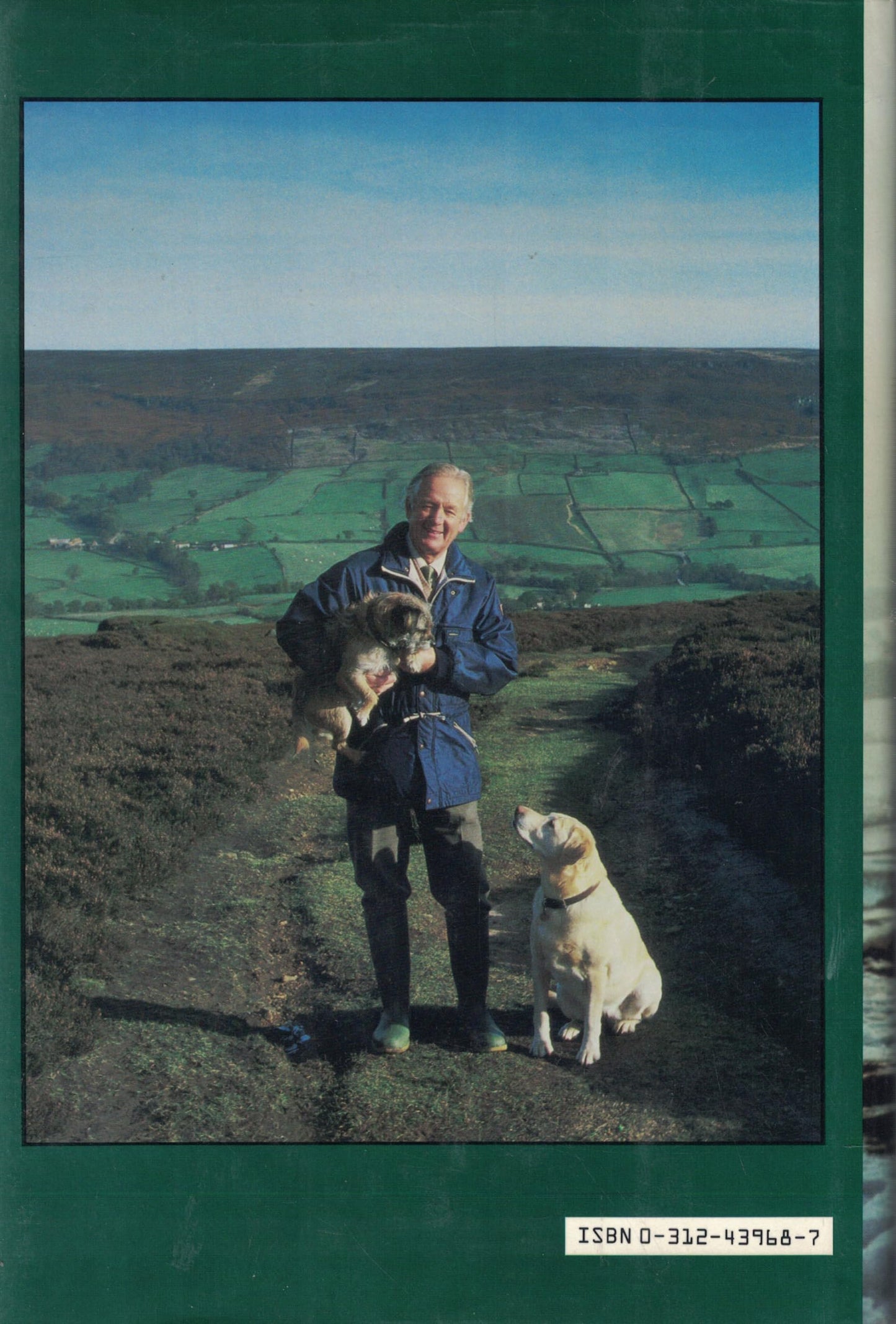 James Herriot's Dog Stories: Warm And Wonderful Stories About The Animals Herriot Loves Best