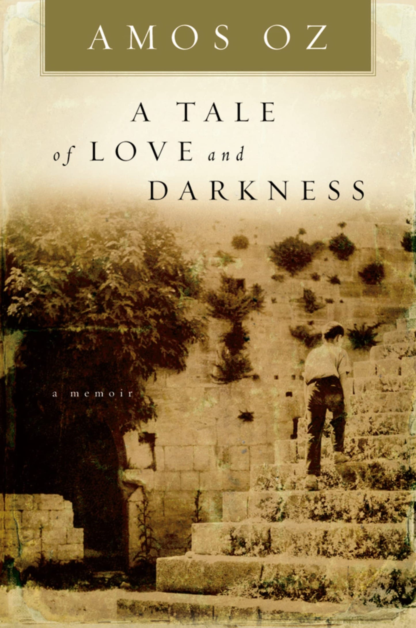 A Tale Of Love And Darkness by Amos Oz