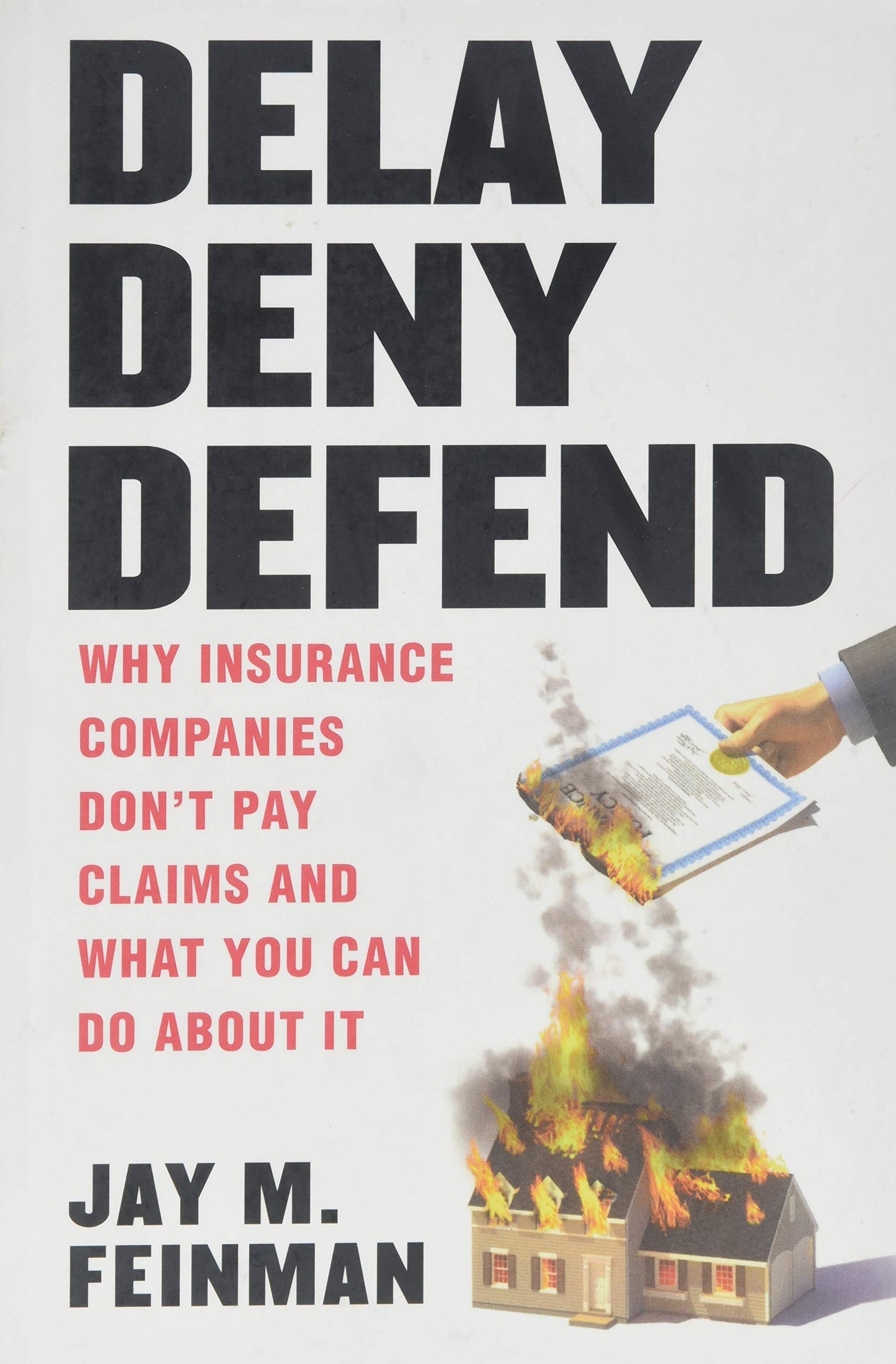 Delay Deny Defend--paperback by feinman