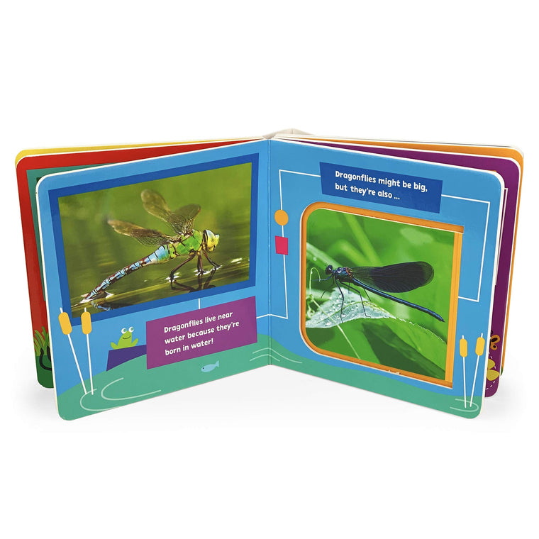 Bugs and Insects! A PBS Kids Lift-a-Flap Board Book for Babies and Toddlers, Ages 1-4 (Pbs Kids Chunky Lift-a-flap Board Book) — back cover