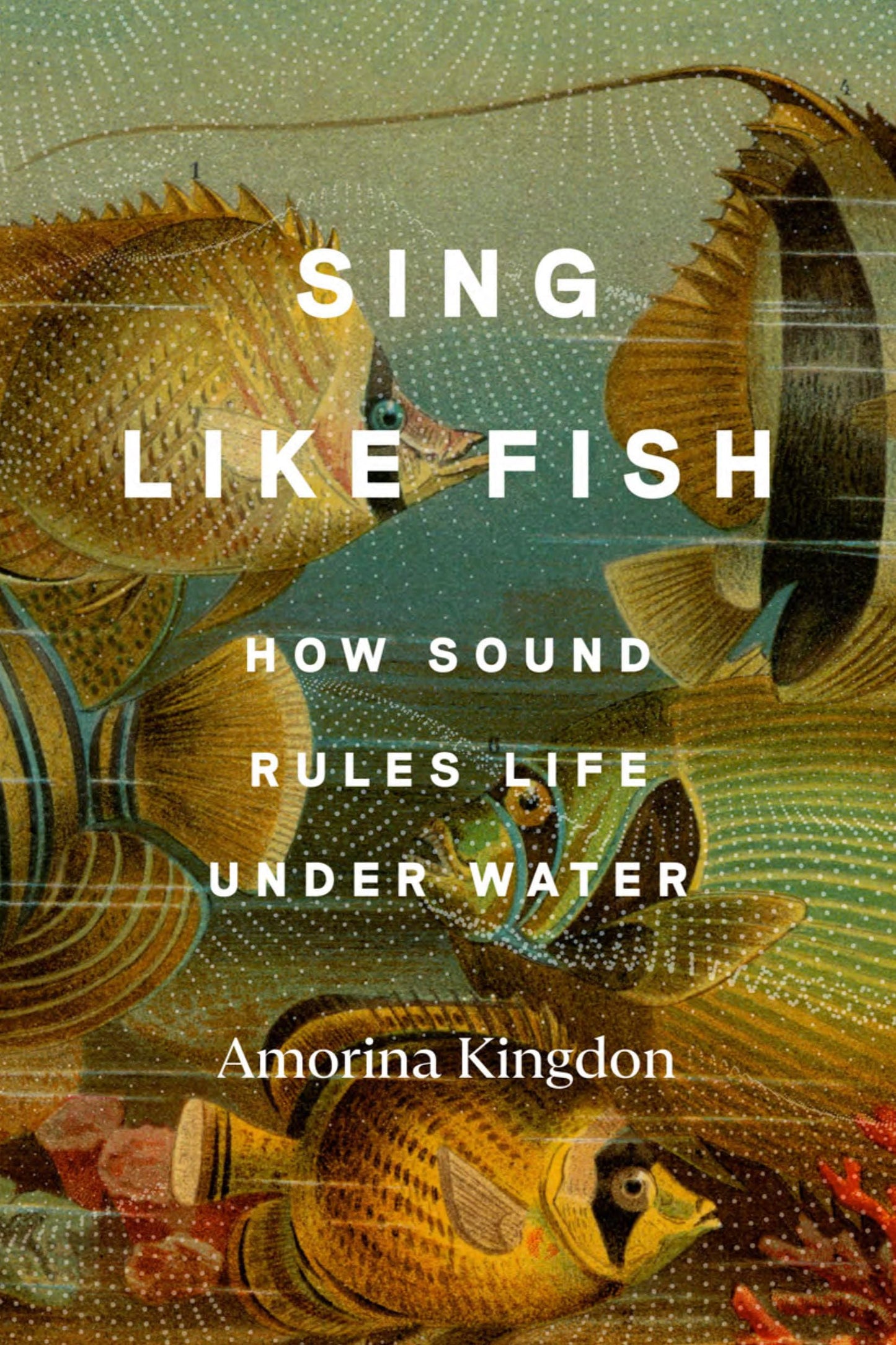 Sing Like Fish: How Sound Rules Life Under Water by Kingdon,