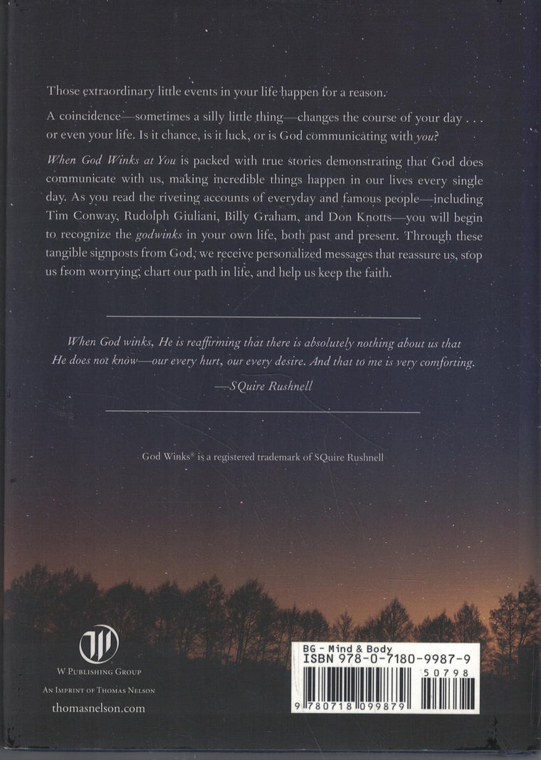When God Winks at You: How God Speaks Directly to You Through the Power of Coincidence — back cover
