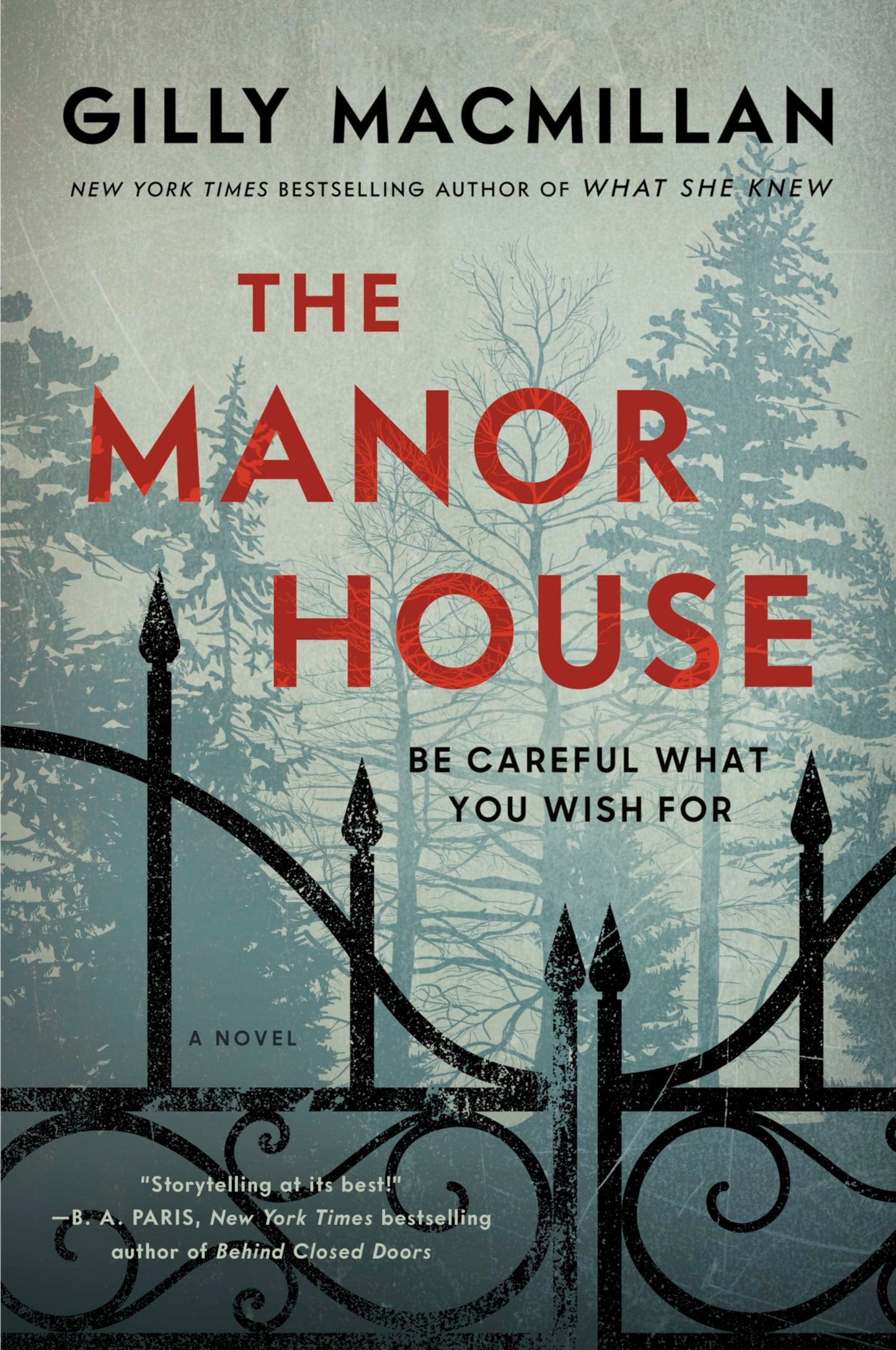 The Manor House: A Novel: The dream world of a lottery win turns into a nightmare in this psychological thriller with breathtaking twists and turns
