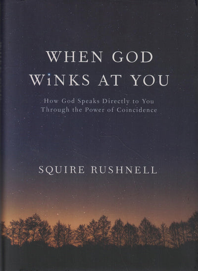 When God Winks at You: How God Speaks Directly to You Through the Power of Coincidence