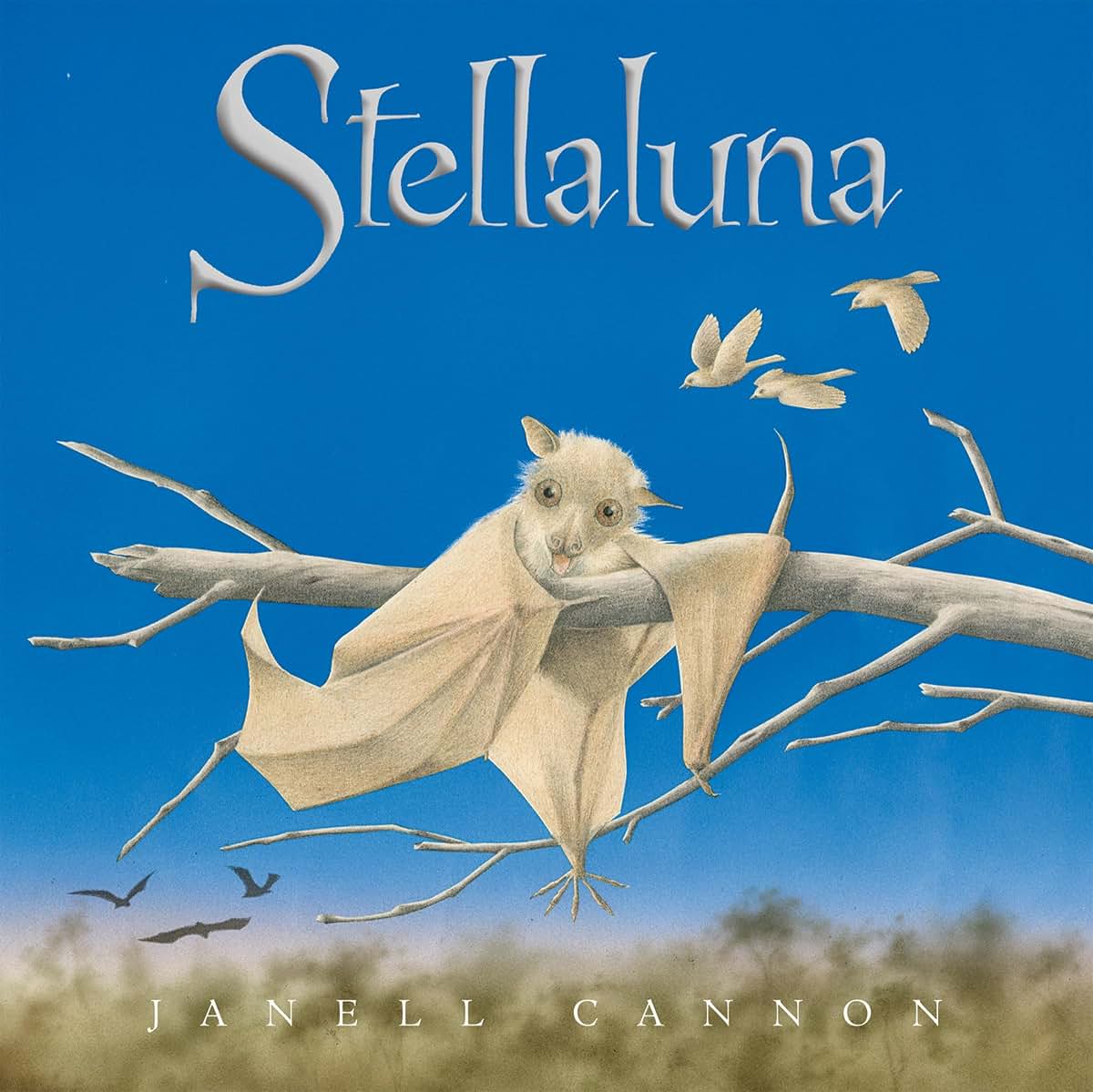 Stellaluna: A Heartwarming Animal Adventure About Identity, Family, and Finding Where You Belong