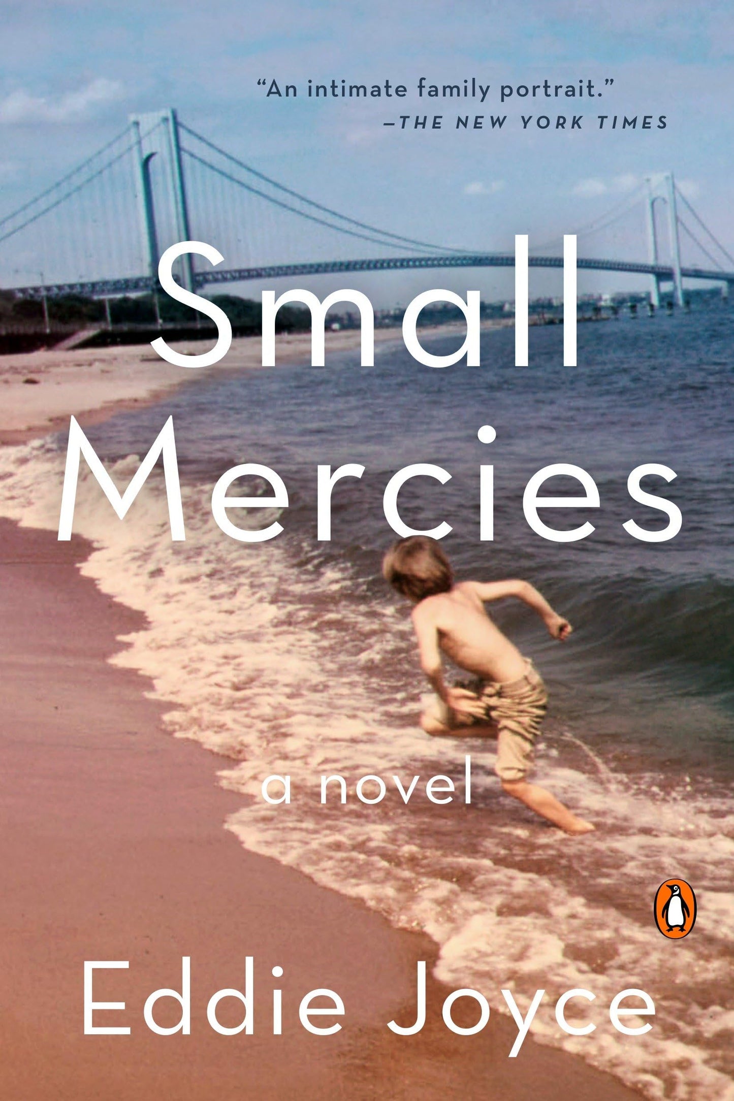 Small Mercies: A Novel