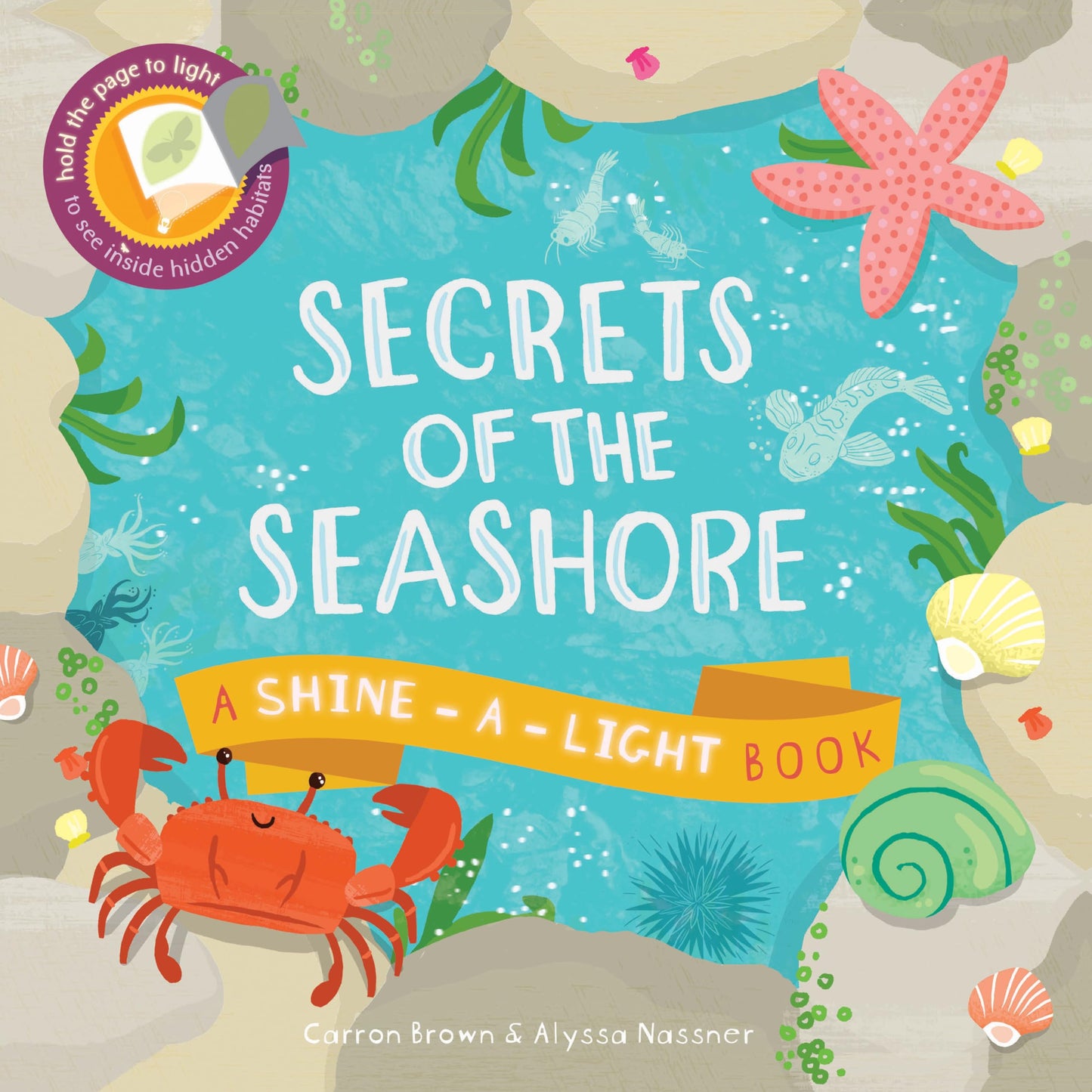 Secrets of the Seashore (Shine-A-Light) by Brown, Carron