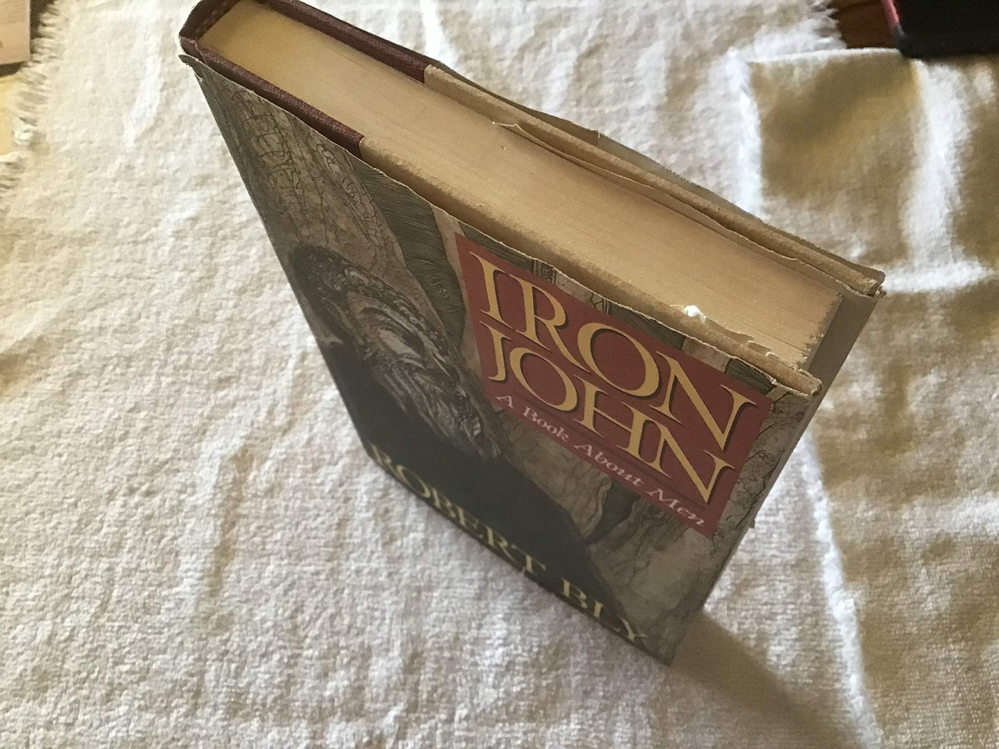 Iron John: A Book About Men by Robert Bly (1990) Hardcover