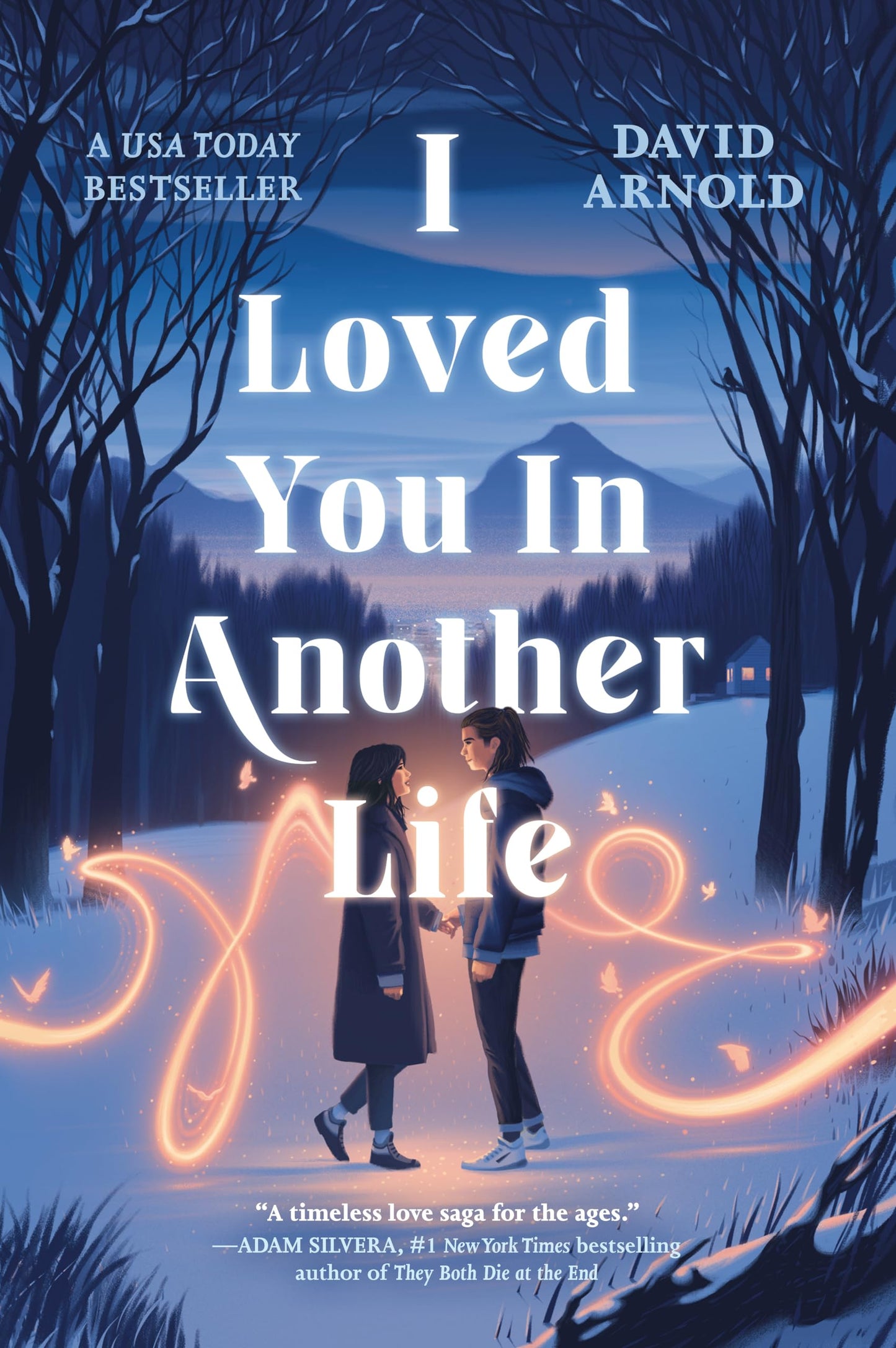 I Loved You in Another Life