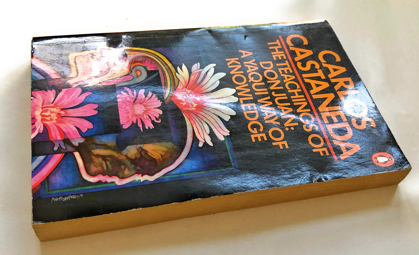 The Teachings of Don Juan: A Yaqui Way of Knowledge