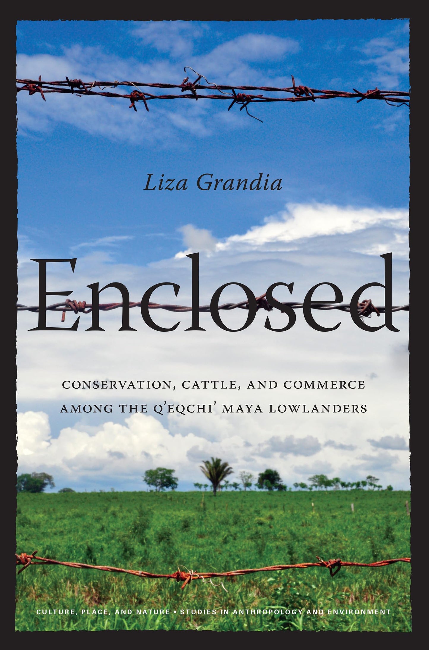 Enclosed: Conservation, Cattle, and Commerce Among the Q'eqchi' Maya Lowlanders (Culture, Place, and Nature)