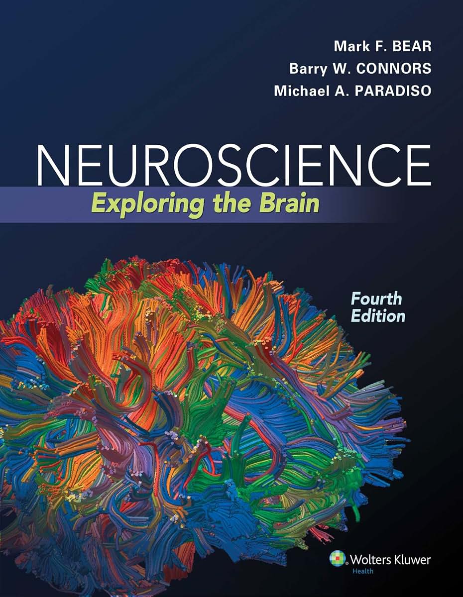 Neuroscience: Exploring the Brain, Fourth Edition by Mark F. Bear, Barry W. Connors, Michael A. Paradiso (2015) Hardcover