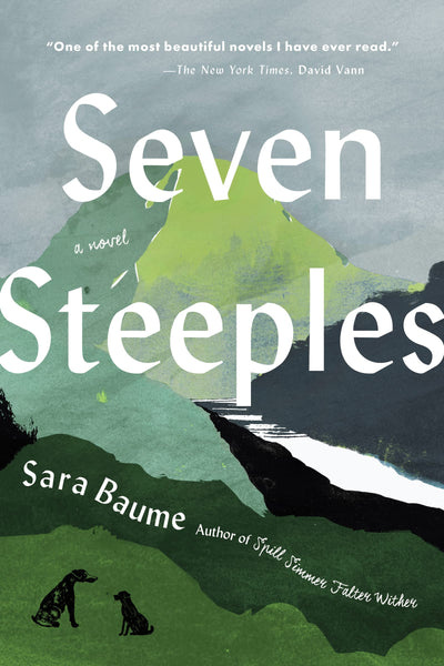 Seven Steeples: A Wall Street Journal Best Book - Irish Literary Fiction of Love and Nature