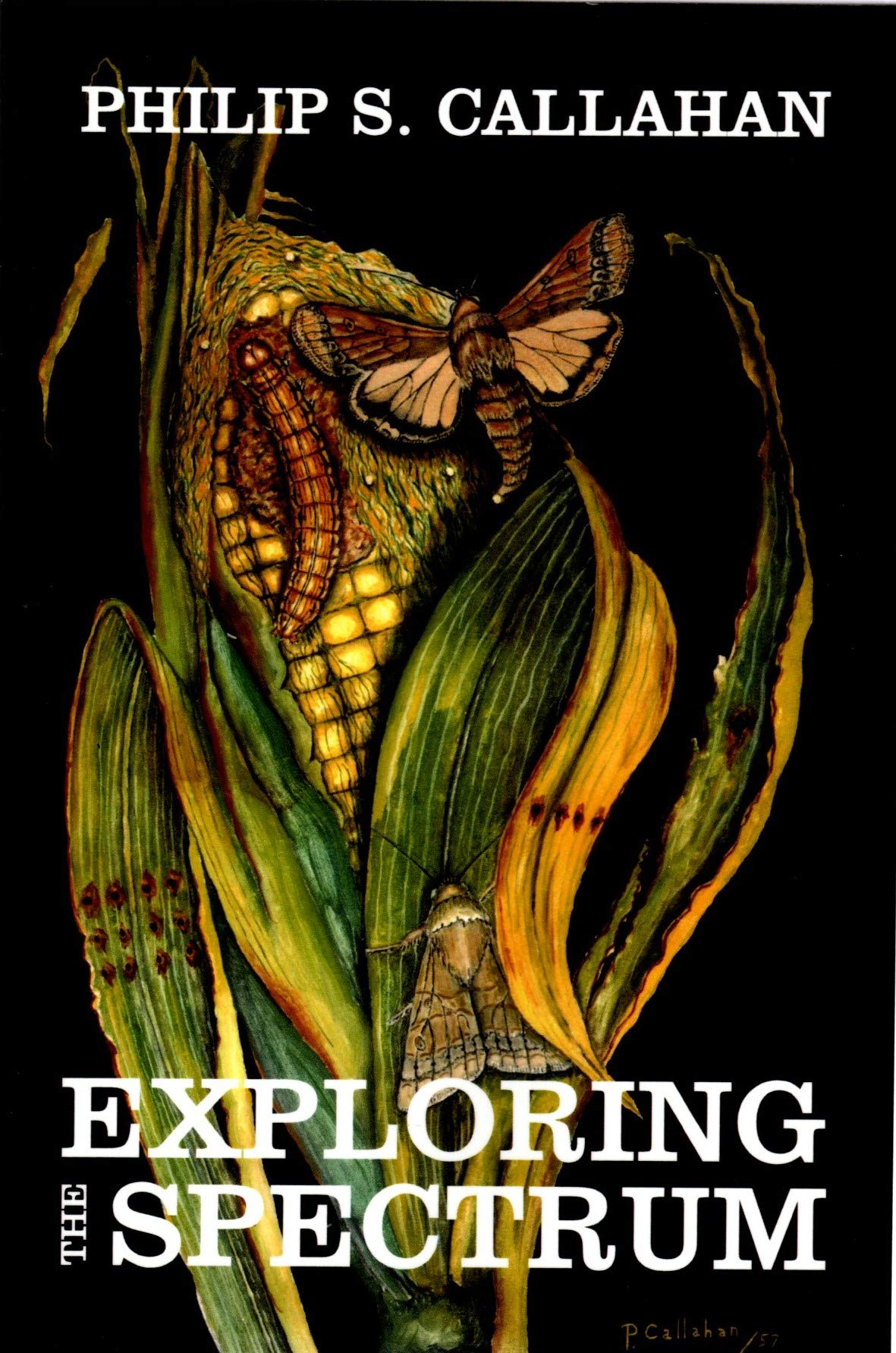 Exploring the Spectrum