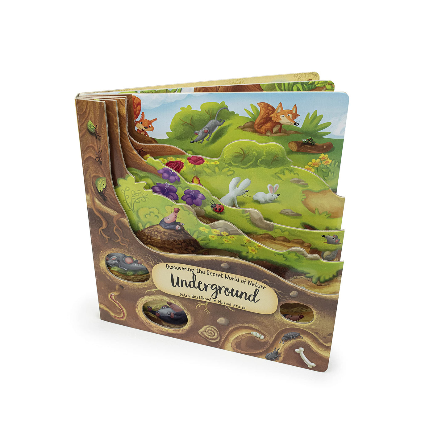 Discovering the Secret World of Nature Underground (Happy Fox Books) Board Book Takes Kids Ages 3-6 Deep into the Ground with Every Turn of the Page, plus Fun Facts and Vocabulary Words