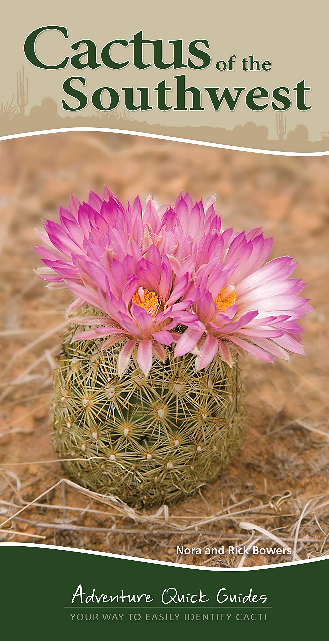 Cactus of the Southwest: Your Way to Easily Identify Cacti (Adventure Quick Guides)
