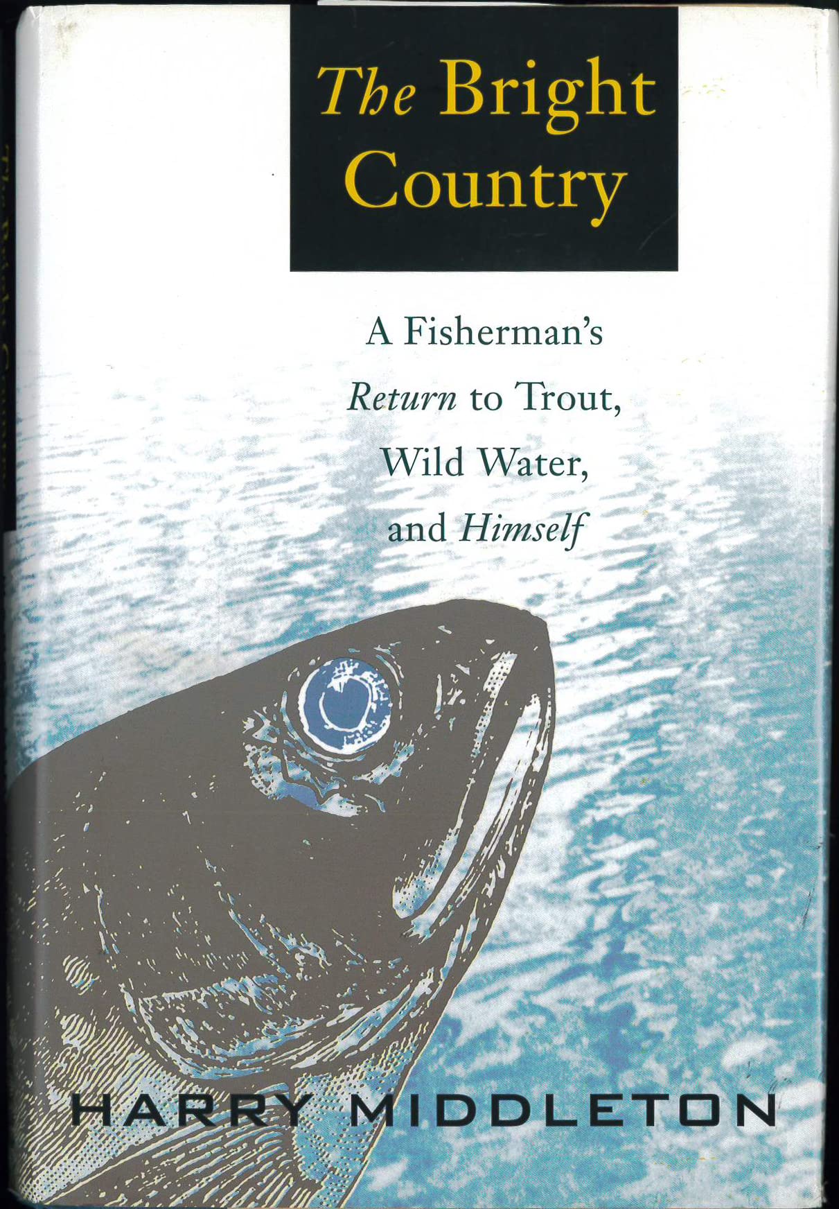 The Bright Country: A Fisherman's Return to Trout, Wild Wate