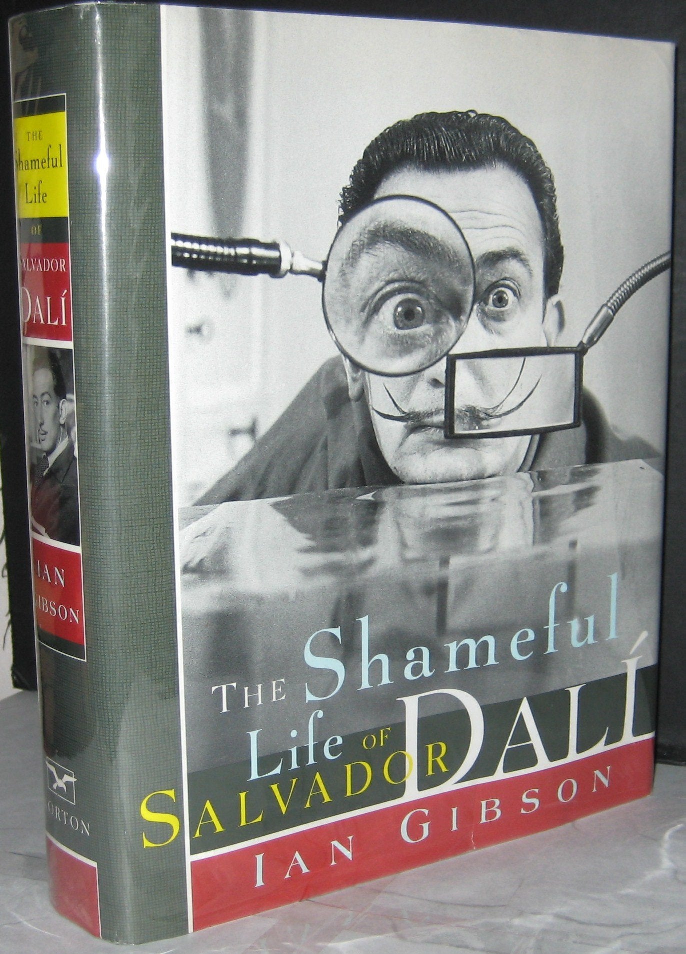 The Shameful Life of Salvador Dal by Gibson, Ian
