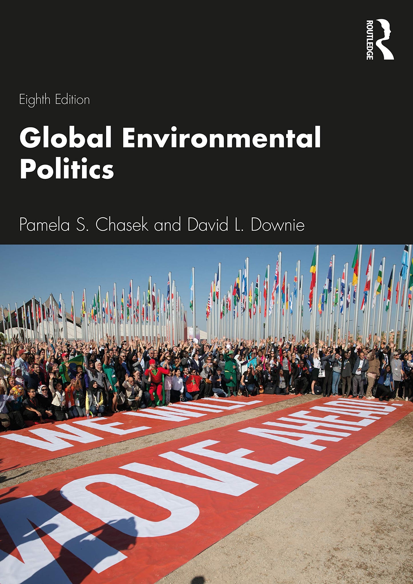 Global Environmental Politics (Dilemmas in World Politics)