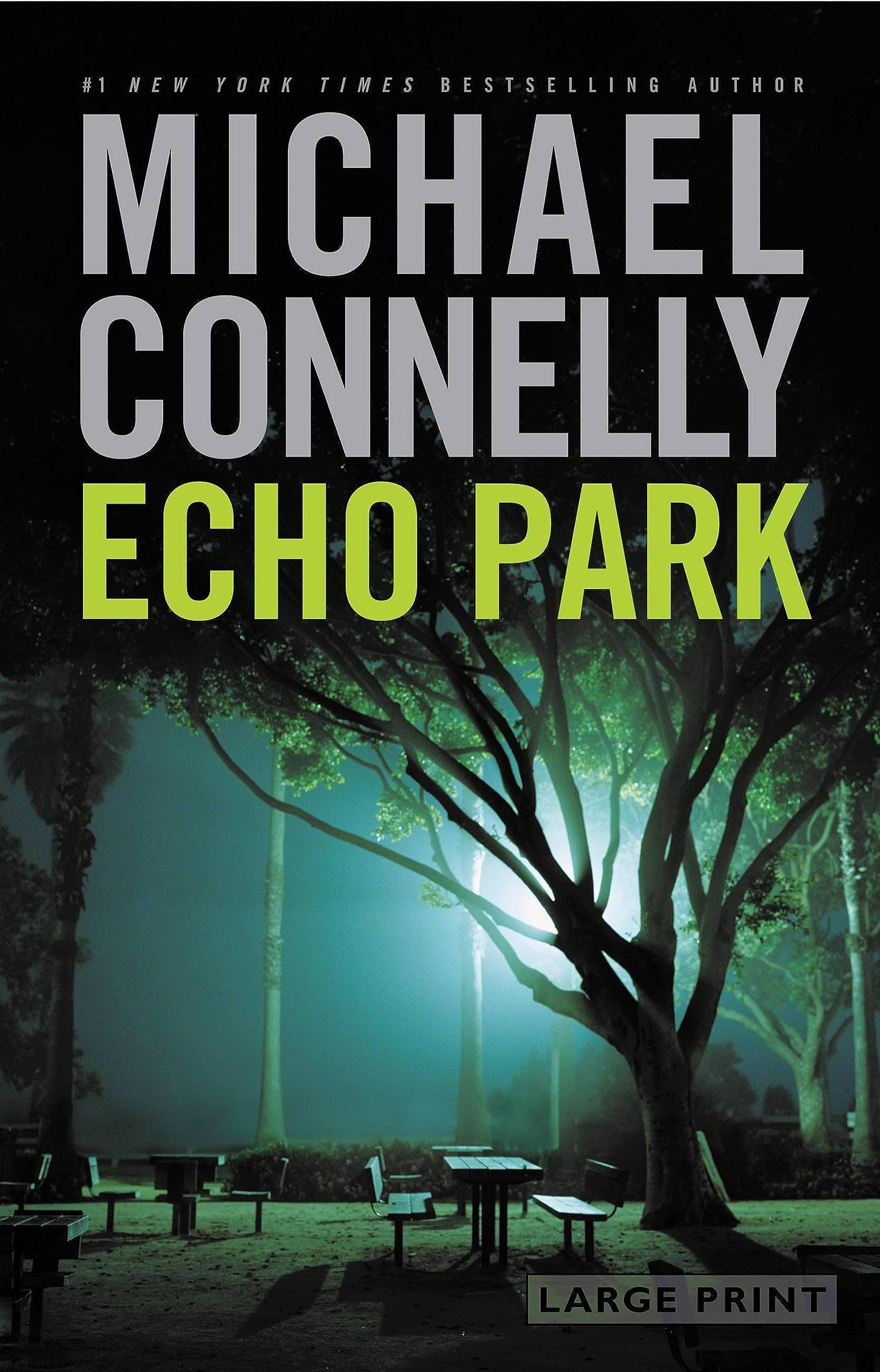 Echo Park (A Harry Bosch Novel, 12)
